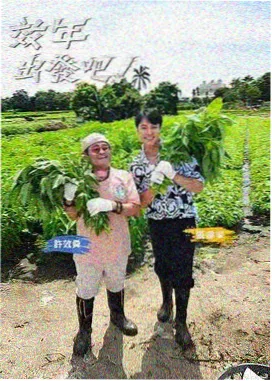 综艺我在岛屿读书明细弹窗配图,海岛书架与奶咖色卡片